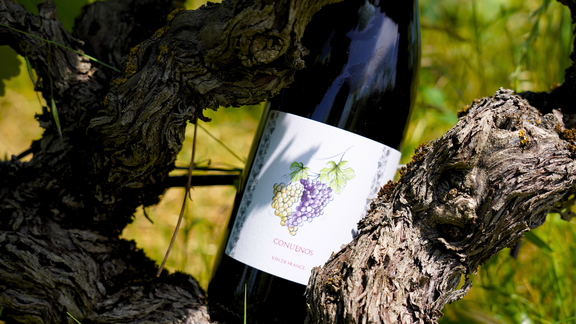Le Domaine des Bardes — producteur / dégustation à Eclassan, en Ardèche